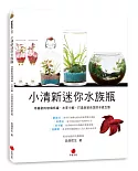小清新迷你水族瓶：用喜歡的玻璃杯罐、水草小蝦，打造自給自足的水底生態