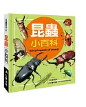 兒童百科：昆蟲小百科（典藏版）