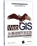 Web GIS從基礎到開發實踐：基於ArcGIS API for JavaScript