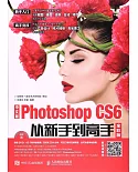 中文版Photoshop CS6從新手到高手（全彩版）