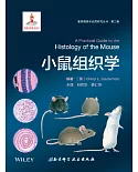 小鼠組織學