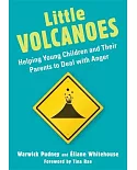 Little Volcanoes: Helping Young Children and Their Parents to Deal With Anger
