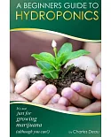 A Beginner’s Guide to Hydroponics: It’s Not Just for Growing Marijuana! (Although You Can)