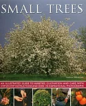 Small Trees: An Illustrated Guide to Varieties, Cultivation and Care, With Step-by-Step Instructions and over 170 Inspirational