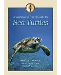 A Worldwide Travel Guide to Sea Turtles