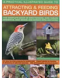 A Practical Illustrated Guide to Attracting & Feeding Backyard Birds: The Complete Book of Bird Feeders, Bird Tables, Birdbaths,
