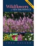 Wildflowers of New Brunswick: Field Guide