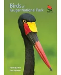 Birds of Kruger National Park
