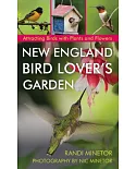 New England Bird Lover’s Garden: Attracting Birds With Plants and Flowers