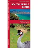South Africa Birds