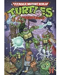 Teenage Mutant Ninja Turtles Adventures 11