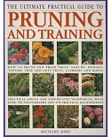The Ultimate Practical Guide to Pruning and Training: How To Prune And Train Trees, Shrubs, Hedges, Topiary, Tree And Soft Fruit