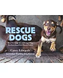 Rescue Dogs: Heartwarming Tales of Dumped Dogs That Have Found Their Forever Home