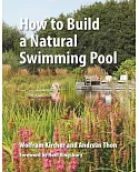 How to Build a Natural Swimming Pool: The Complete Guide to Healthy Swimming at Home