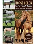 Horse Color Explored: Over 150 Breeds, Types, and Variations
