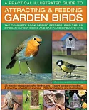 A Practical Illustrated Guide to Attracting & Feeding Garden Birds: The Complete Book of Bird Feeders, Bird Tables, Birdbaths, N