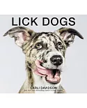 Lick Dogs