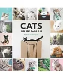 Cats on Instagram