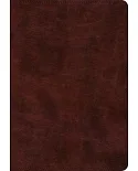 Holy Bible: English Standard Version, Super Giant Print, Trutone, Burgundy - With Ribbon Marker