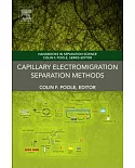 Capillary Electromigration Separation Methods