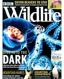 BBC Wildlife 9月號/2020