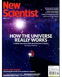 New Scientist 第3330期 4月17日/2021