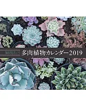 每日！多肉植物2019年月曆