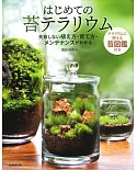 初學小巧玻璃容器栽種蘚苔盆栽實例集