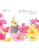 可愛鸚哥與小鳥2021年月曆