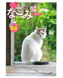 NAGOMI貓咪可愛生活寫真專集