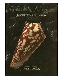 shells of the philippines