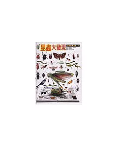台灣昆蟲大發現：追蹤常見昆蟲125