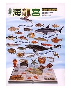 台灣海龍宮：探訪千奇百怪的海洋生物