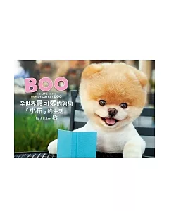 BOO全世界最可愛的狗狗「小布」的生活