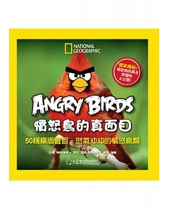 Angry Birds憤怒鳥的真面目：50種橫眉豎目、怒氣沖沖的憤怒鳥類