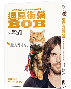 遇見街貓Bob