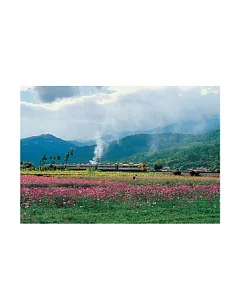 台灣東線鐵路(2)明信片