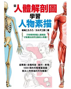 從人體解剖圖學習人物素描