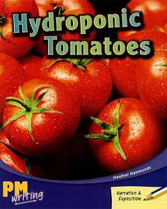 PM Writing 3 Purple/Gold 20/21 Hydroponic Tomatoes