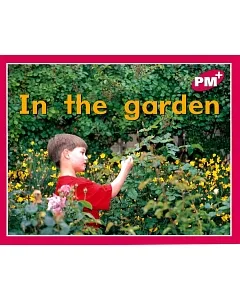 PM Plus Magenta (1) In the Garden