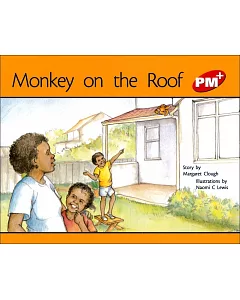 PM Plus Red (5) Monkey on the Roof