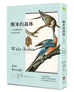 醒來的森林：一位鳥類學家的自然散步筆記