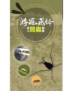 游黽飛蛉：台江昆蟲圖鑑