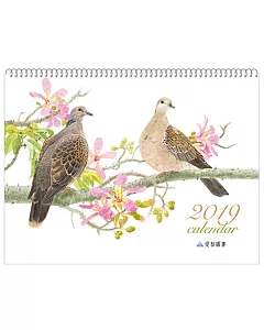2019愛智圖書鳥月曆(膠圈裝版)