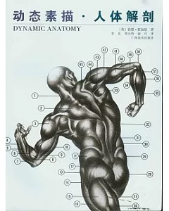 動態素描‧人體解剖