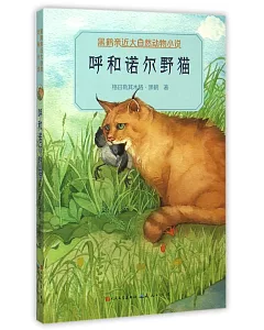 黑鶴親近大自然動物小說：呼和諾爾野貓