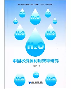 中國水資源利用效率研究