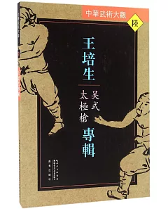 中華武術大觀（6）：王培生專輯