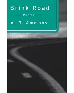 Brink Road: Poems