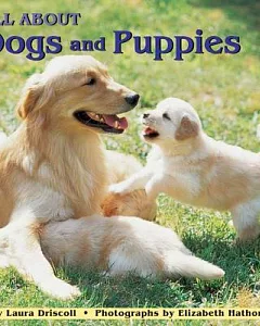 All About Dogs and Puppies